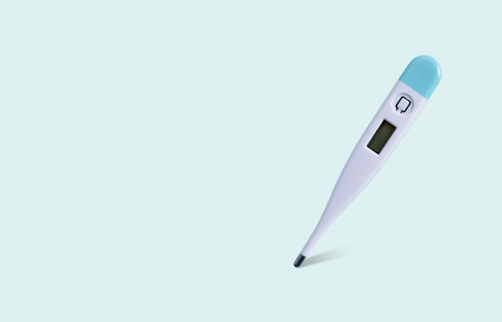 banner-collection2